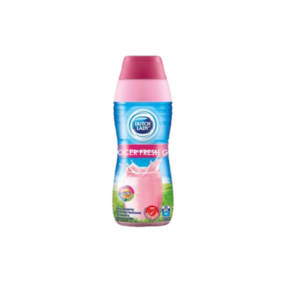 DUTCH LADY STRAWBERRY 450ML