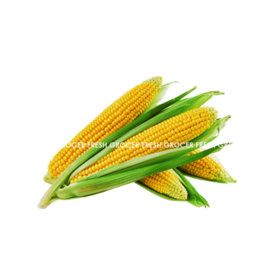 JAGUNG MANIS 1PCS