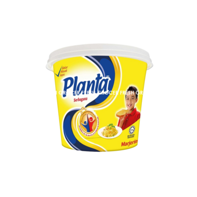 PLANTA MARGARINE 480GM